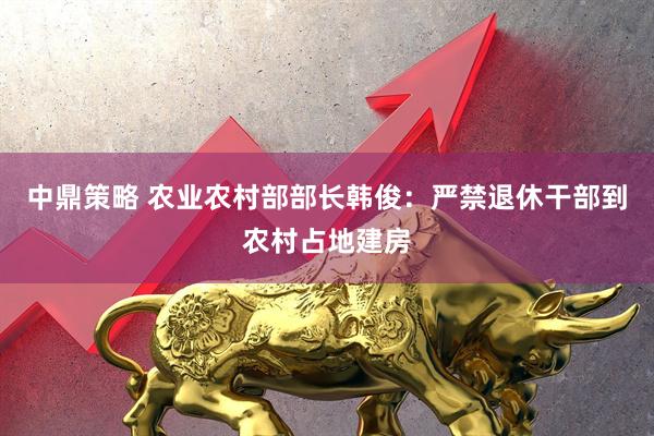 中鼎策略 农业农村部部长韩俊：严禁退休干部到农村占地建房