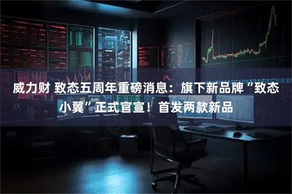 威力财 致态五周年重磅消息：旗下新品牌“致态小翼”正式官宣！首发两款新品