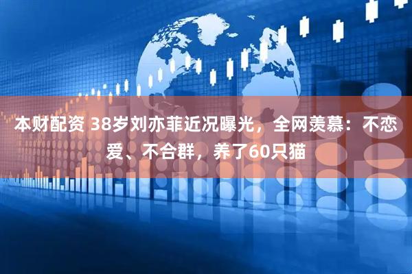 本财配资 38岁刘亦菲近况曝光，全网羡慕：不恋爱、不合群，养了60只猫