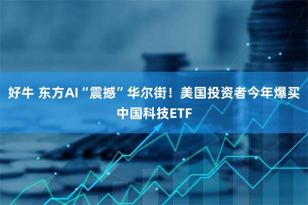 好牛 东方AI“震撼”华尔街！美国投资者今年爆买中国科技ETF