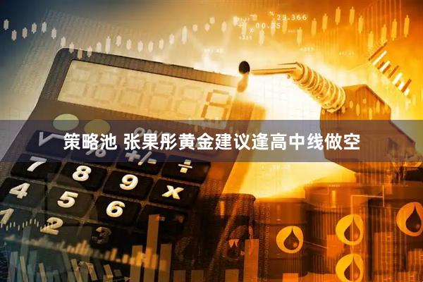 策略池 张果彤黄金建议逢高中线做空