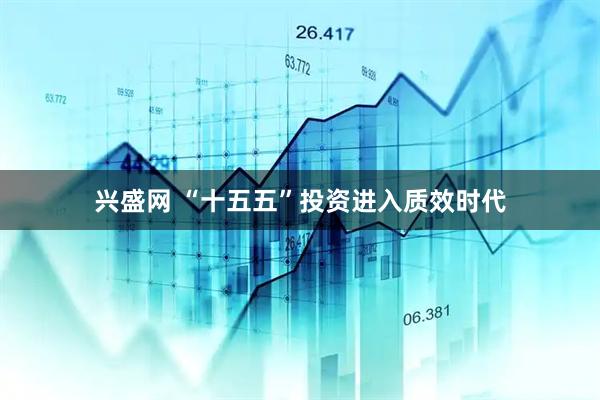 兴盛网 “十五五”投资进入质效时代