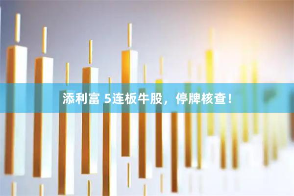 添利富 5连板牛股，停牌核查！