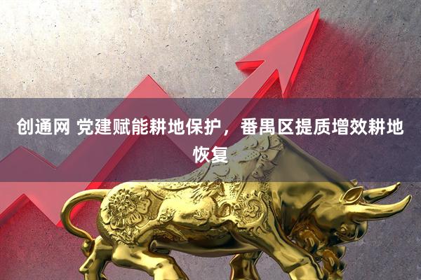 创通网 党建赋能耕地保护，番禺区提质增效耕地恢复